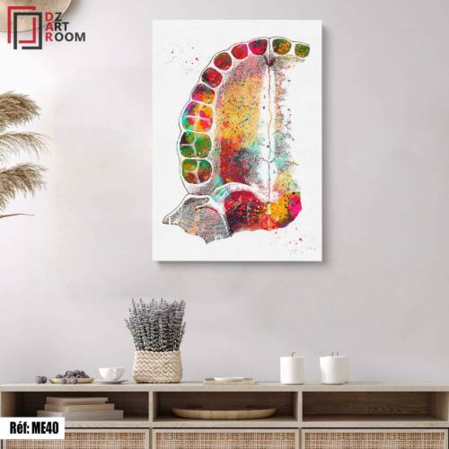 Tableau Dentiste ME40