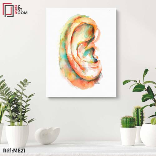 Tableau Oreille ME21