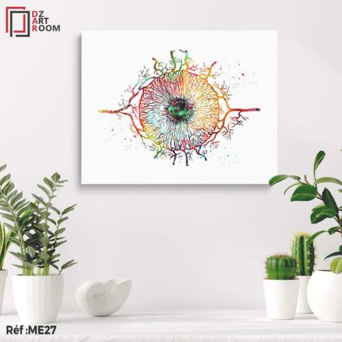 Tableau Ophtalmologie ME27