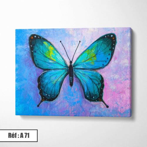 Tableau Papillon A71