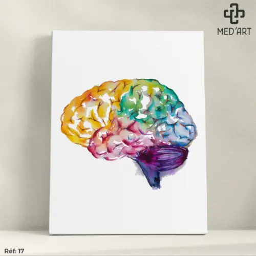 Tableau Lobes Cerveau 17