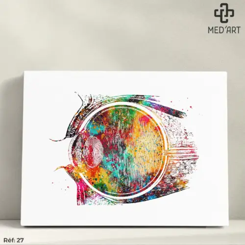Tableau Coupe sagittale de l'Oeil 27