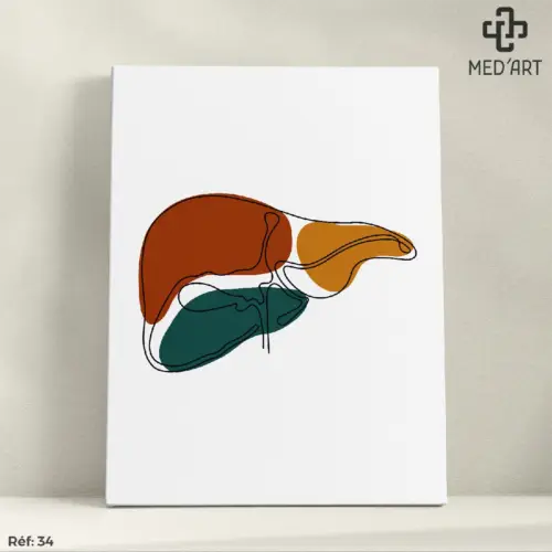 Tableau Foie 34