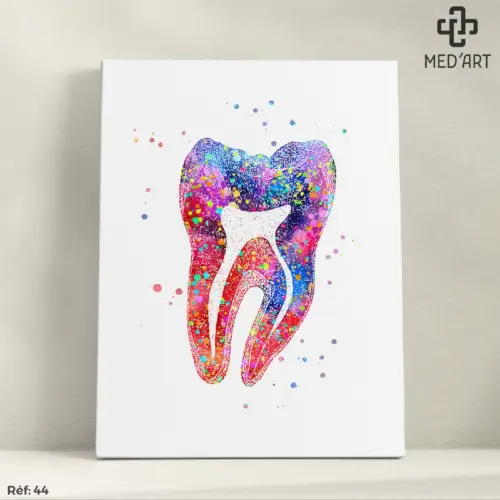 Tableau Dent 44