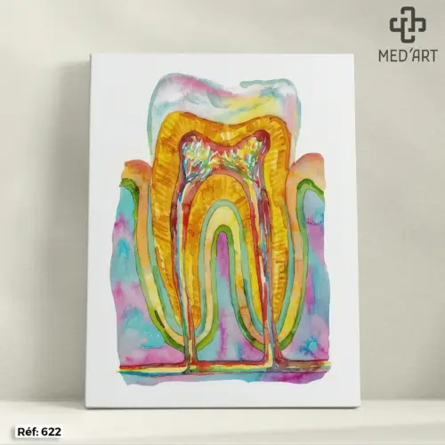 Tableau Coupe Molaire - Aquarelle 622