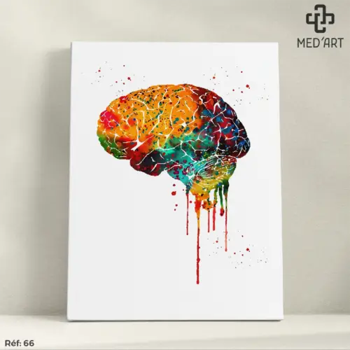 Tableau Cerveau - Floral 66