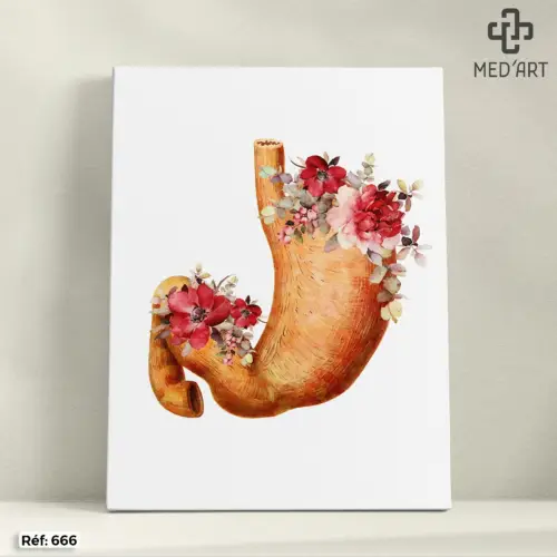 Tableau Estomac - Floral 666