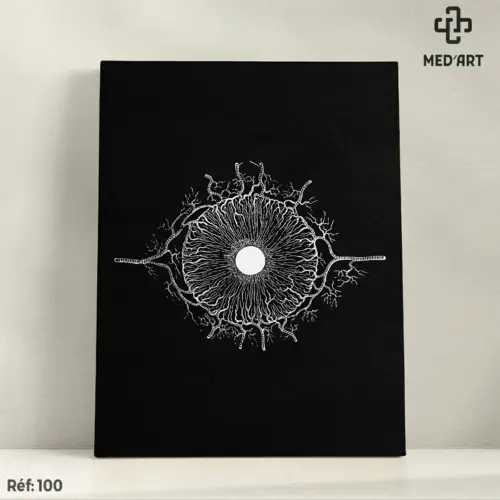 Tableau Vascularisation du Globe Oculaire 100