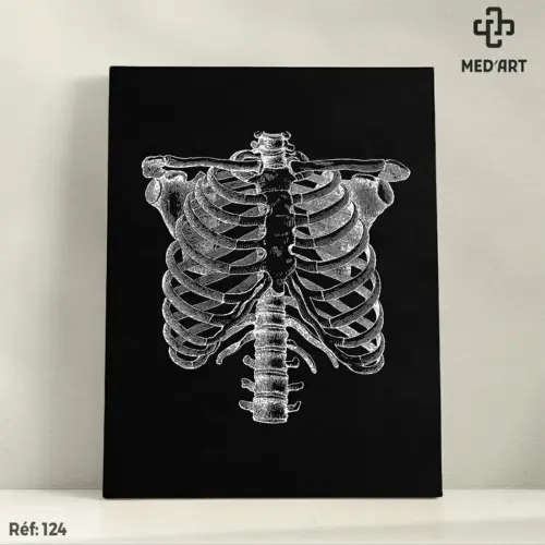 Tableau Cage Thoracique 124