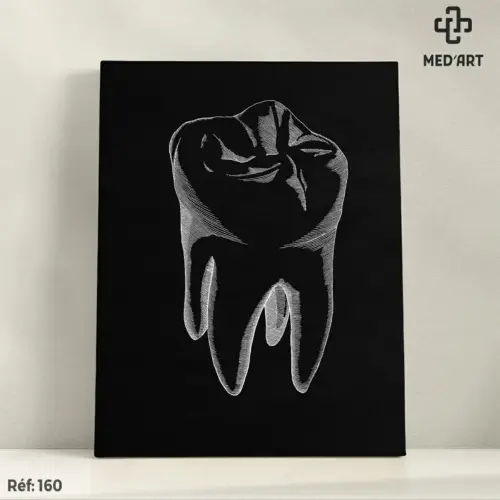 Tableau Molaire (Dent) 160