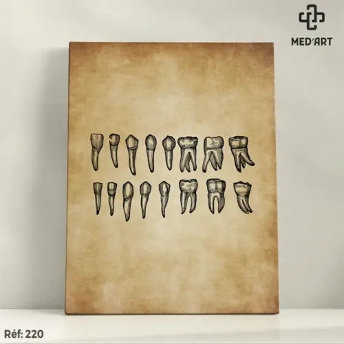 Tableau Les Dents 220