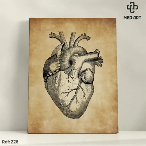 Tableau Anatomie du Coeur 226