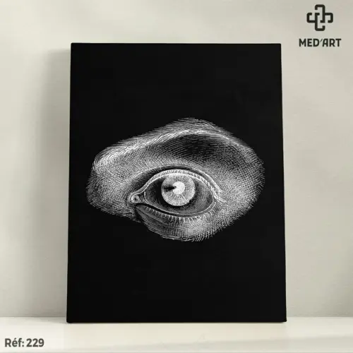 Tableau Oeil 229