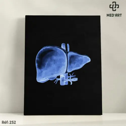 Tableau Foie 252