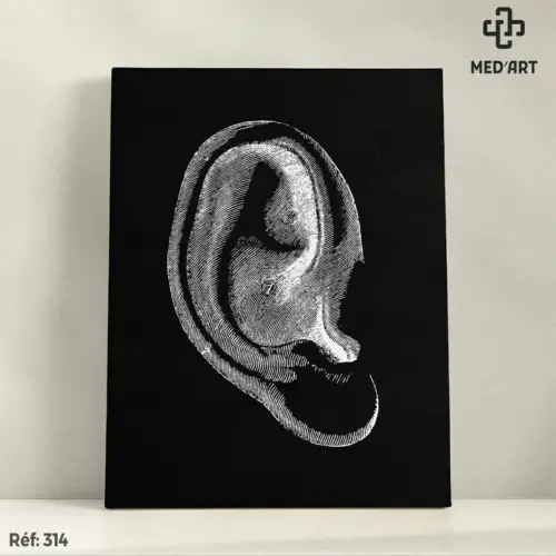 Tableau Oreille 314