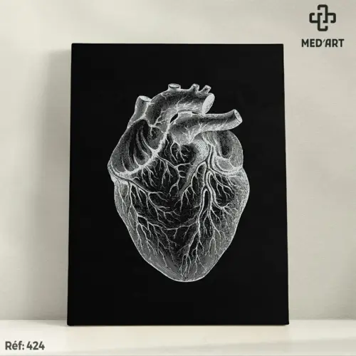Tableau Anatomie du Coeur 424