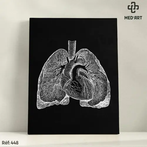 Tableau Poumon et Coeur 448
