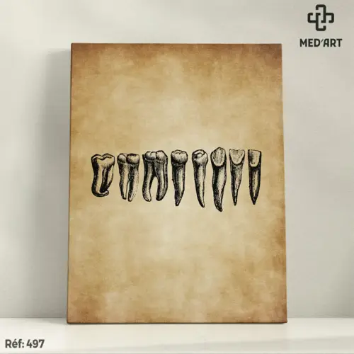 Tableau Les Dents 497