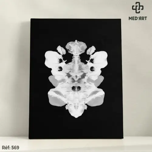 Tableau Tests de Rorschach 569